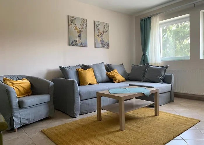 Rondine Vendeghaz Tilaj